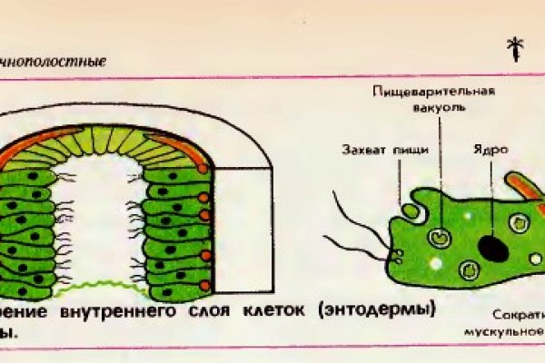 Не пришли деньги на кракен