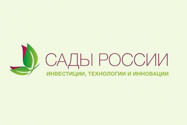 Сайт кракен закрыли