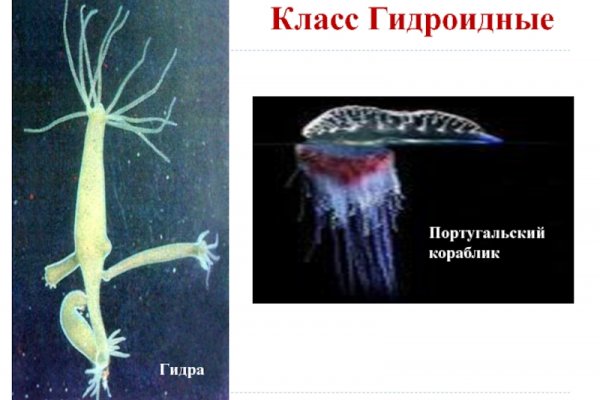 Кракен 16 даркнет продаж