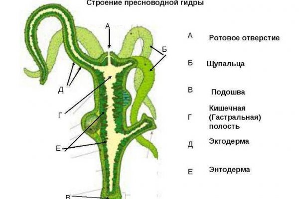 Kra35.at