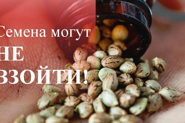 Официальный сайт kraken kraken clear com