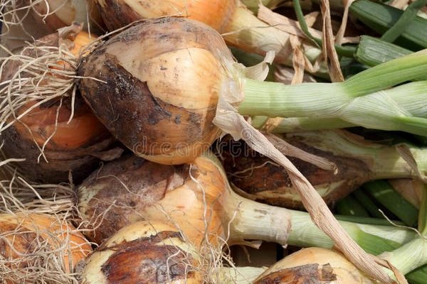 Кракен не работает