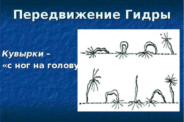 Русские ссылки тор браузера kraken
